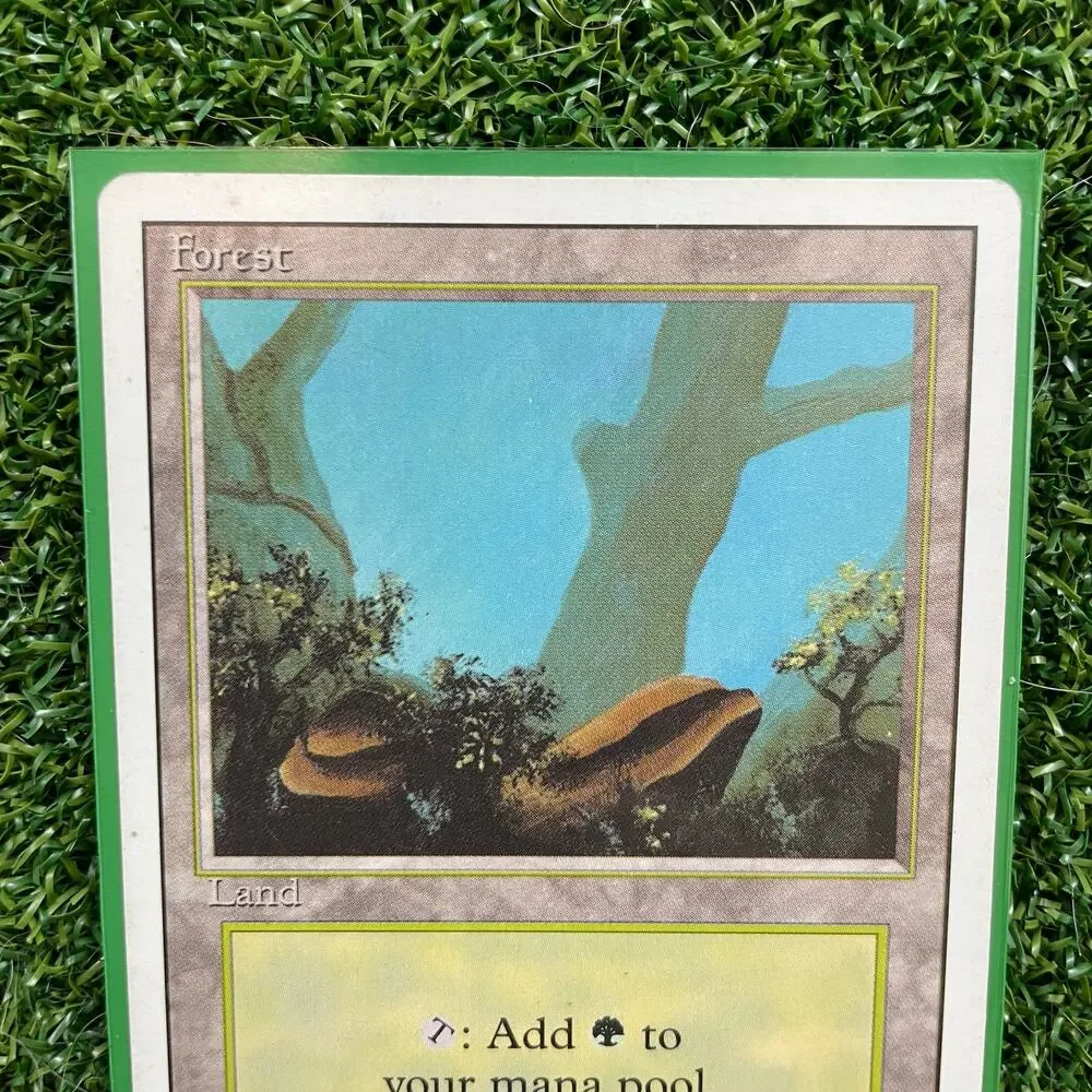 MTG Forest Vintage Basic Land Christopher Rush Art Magic Card LP